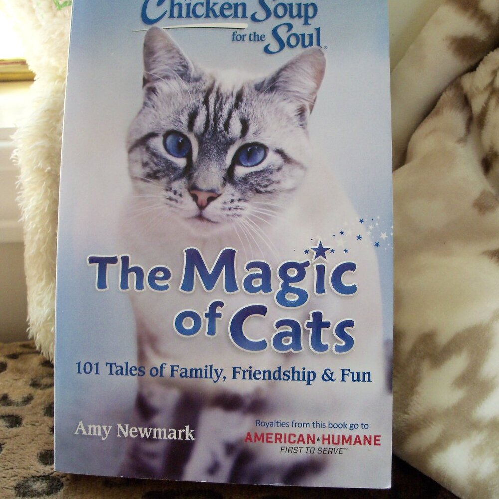 The magic of cats